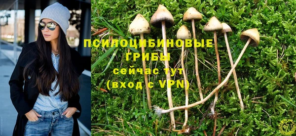 соль ск Белоозёрский