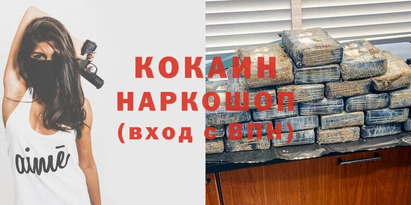 шишки Покров