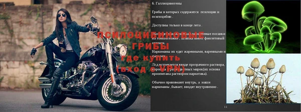 гашиш Беломорск