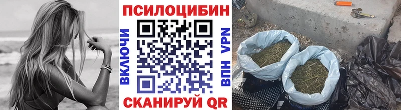 Псилоцибиновые грибы Magic Shrooms  купить наркотики цена  Купино 